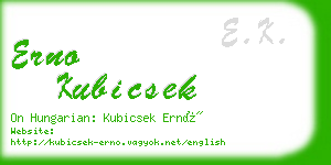 erno kubicsek business card